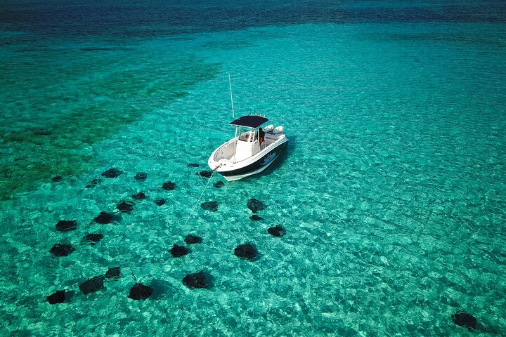 Sting Ray Sand Bar
